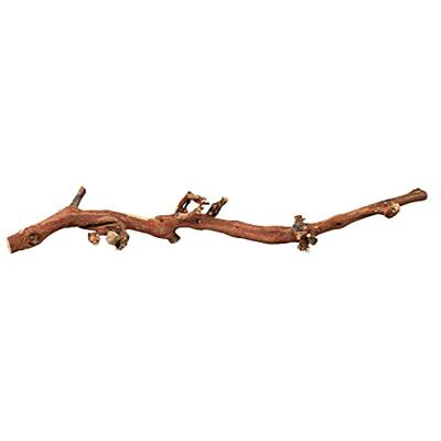TRIXIE DRUIVENTAKKEN 40-60 CM 5 ST