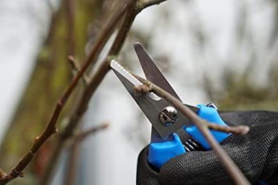 Brilliant Tools BT100902 Universele schaar