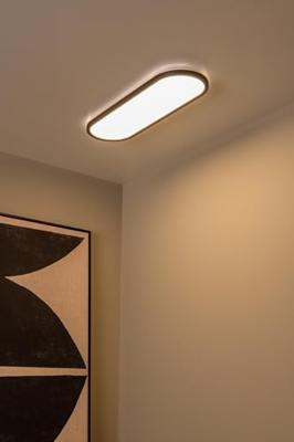 Lucide ELLY - Plafonnière - LED Dimb. - CCT - 1x24W 2700K/4000K - Opaal | Essential