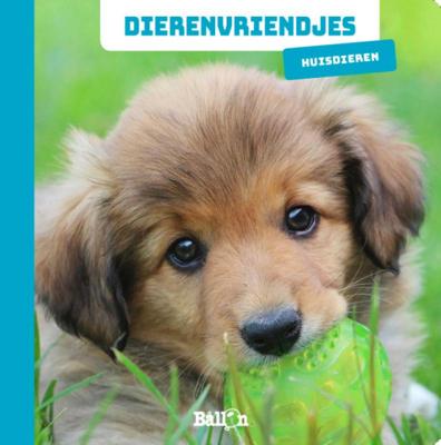 Boek Dierenvriendjes Huisdieren