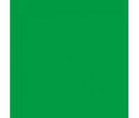 BRESSER Y-9 Achtergrond Doek 6x6m Chromakey Groen - thumbnail