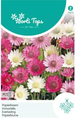 Zaden Xeranthemum Papierbloem gemengd Hortitops - Hortitops