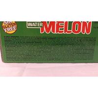 Fini - Watermelon Bubble Gum - 200 stuks - thumbnail