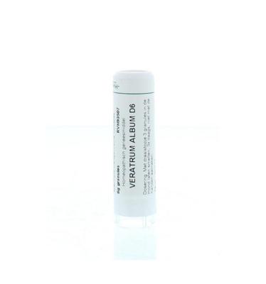 Veratrum album D6 Veratrum album D6