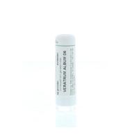 Veratrum album D6 - thumbnail