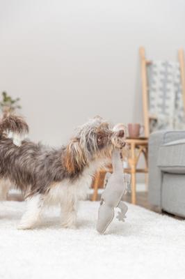 Knuffel voor honden Trixie 37 cm - thumbnail