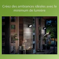 Philips WandlampMimosa antraciet - 929003262301 - thumbnail