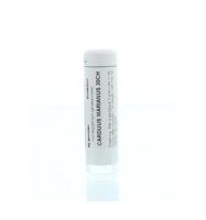 Homeoden Heel Carduus marianus 30CH 6 Gram - thumbnail