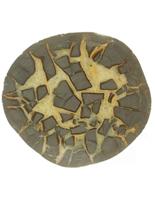 Septarie Half Gepolijst uit Utah Amerika - thumbnail