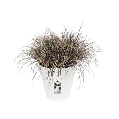 Elho pot loft urban rond D25cm wit - thumbnail