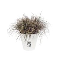 Elho Bloempot Loft Urban Rond Wit Ø25cm - thumbnail