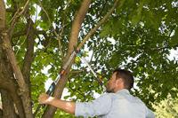 Takkenschaar telecut 650-900 B - thumbnail