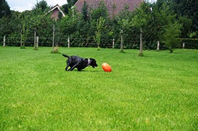 Dog Comets Pan-Stars Oranje M 20cm Dog Comets Pan-Stars Oranje M 20cm