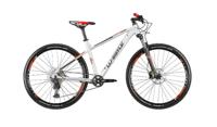 Beta 9598Whp M-N-Whistle® Mountainbike, 29" - 095980140 - thumbnail