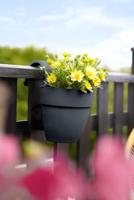 Plantenbak Vibia Campana Easy Hanger Small antraciet elho - Elho - thumbnail
