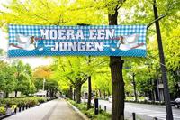 Straatbanier Hoera een jongen - thumbnail