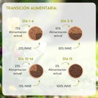 NUTRIVET - Binnenchat - Kat - Graanvrij voer - Gesteriliseerde of kat met overgewicht - Kip - 80% ingrediënten van dierlijke oorsprong - 1,5kg - thumbnail