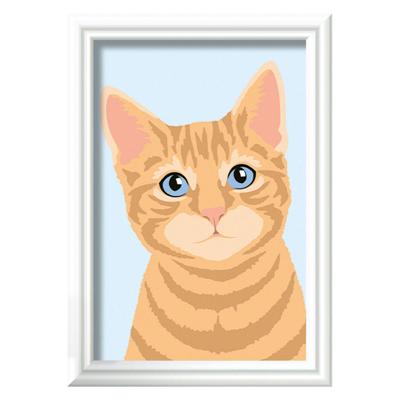 Ravensburger creart schilderen op nummer - oranje tabby