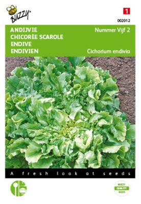 Andijvie Nummer Vijf