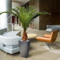 Canarie Phoenix kunstpalm deluxe 210 cm - thumbnail