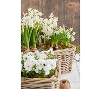 Bloembak Rotan Antiek Grijs 60cm - thumbnail