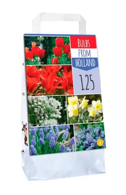 Bulbs from holland 125 bollen