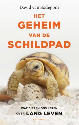 Het geheim van de schildpad - David van Bodegom - ebook