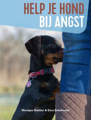 Help je hond bij angst (Hardback)