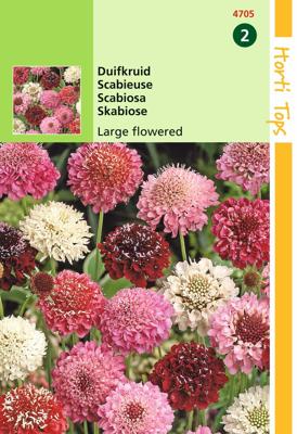 Zaden Scabiosa Duifkruid gemengd Hortitops - Hortitops