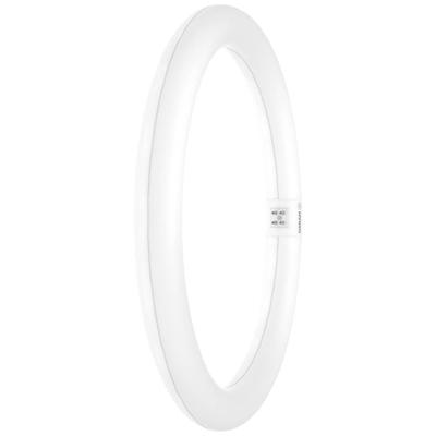 OSRAM HOMELIGHTING LED-buis-Ring Energielabel: E (A - G) G10q 18.3 W = 32 W Koudwit 1 stuk(s) (Ø x l) 300 mm x 300 mm
