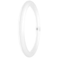 OSRAM HOMELIGHTING LED-buis-Ring Energielabel: E (A - G) G10q 18.3 W = 32 W Koudwit 1 stuk(s) (Ø x l) 300 mm x 300 mm - thumbnail