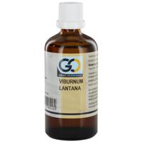 GO Viburnum lantana bio 100 Milliliter - thumbnail