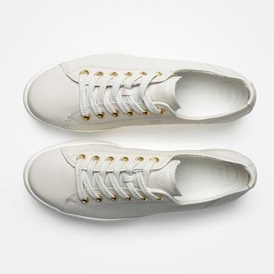 Paul Green 4790 - alle