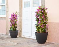 CAPRI CAMPANA POT 35CM LICHTGRIJS - thumbnail