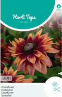 Zaden zonnehoed sahara 15 zaden Hortitops - Hortitops - thumbnail