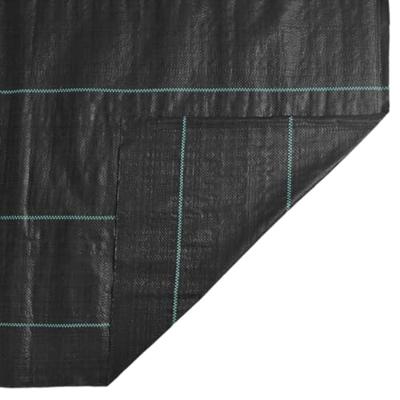 VidaXL Worteldoek 2x10 m polypropeen zwart