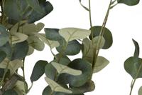 Boomstructuur Home ESPRIT Polyethyleen Cement Eucalyptus 80 x 80 x 220 cm - thumbnail