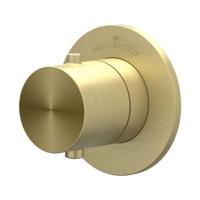 Afbouwdeel IVY Concord Inbouwthermostaat Symmetry Met Rond Rozet RVS316 Geborsteld Mat Goud PVD - thumbnail