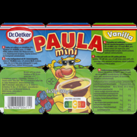 Dr. Oetker Paula Vla met Vanillesmaak en Chocoladesmaak Vlekken Mini 6 x 50 g bij Jumbo - thumbnail