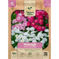Madeliefje duizendschoon mengsel 100st - thumbnail