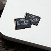 Kingston 256GB microSDXC geheugenkaart - A1 Video Class V30 UHS-I - zonder SD adapter - thumbnail