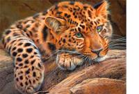 Diamond painting dieren - super aanbieding met korting - thumbnail