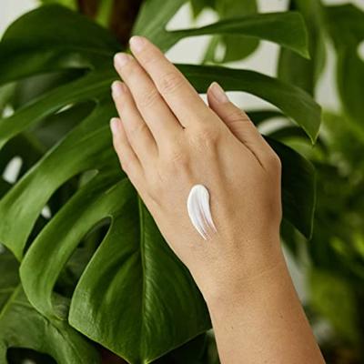 Weleda Refreshing Hand and Nail Cream Citrus