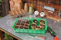 Connex Kweekbak 36X22X13Cm (Klassiek) - FLOR79020 - thumbnail