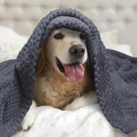 Nobleza Hondendeken 120x100cm Pluizige Fleece Huisdier Dekens voor Kat Puppy Wasbaar Zacht Warm Kitten Slaapmat Bed Pad Grijs - thumbnail