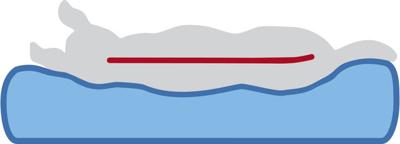 Trixie hondenkussen noah vital lichtgrijs