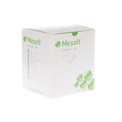 Mesoft Kp N/st 4l 5x 5cm 300