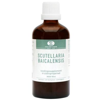 van der Pigge Scutellaria baicelensis tinctuur 100 Milliliter