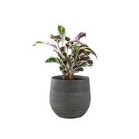 Pot esra mystic grey bloempot binnen 31 cm - thumbnail