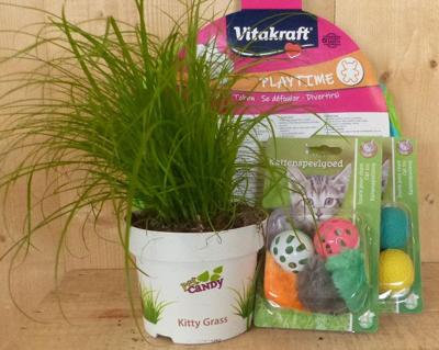 Cadeaupakket kattenspeeltjes met kattengras voor je kat Warentuin Mix - Warentuin mix Cadeaupakket kattenspeeltjes met kattengras voor je kat Warentuin Mix - Warentuin mix
